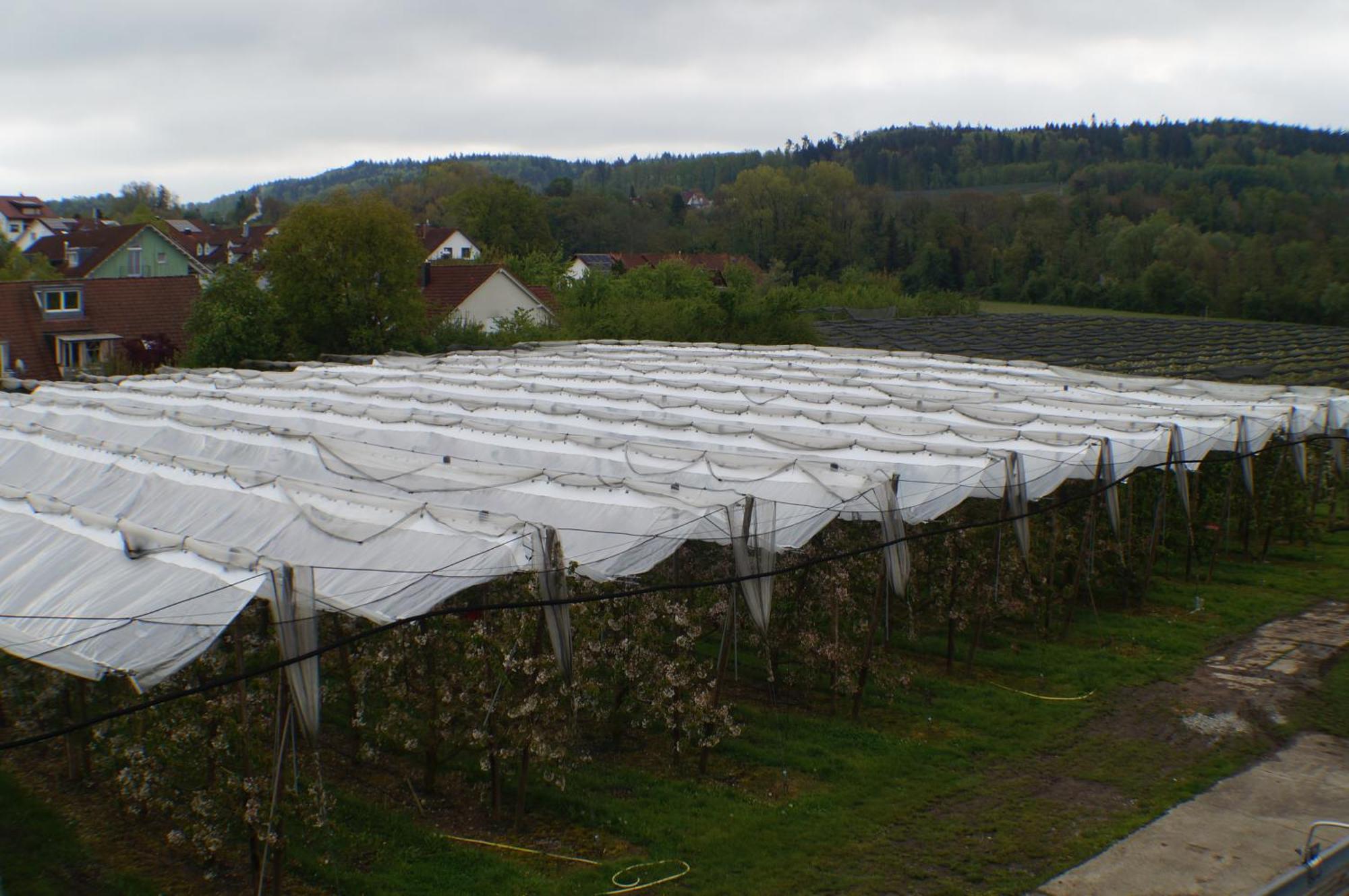 Hofgut Stefan Hostel Uhldingen-Muehlhofen Luaran gambar